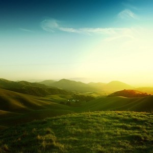 我抬头望着天看不见