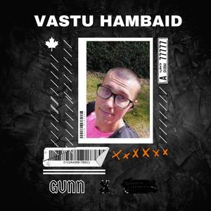 Vastu hambaid