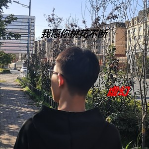 我愿你桃花不断