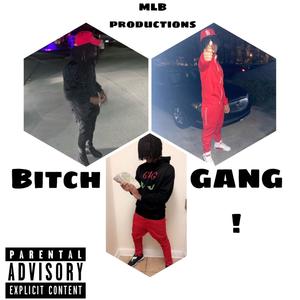 ***** GANG (feat. MLB Mari & MLB 2Times) (Explicit)