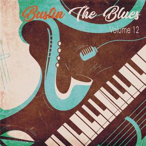 Bustin the Blues, Vol. 12