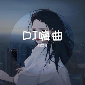 DJ嗨曲