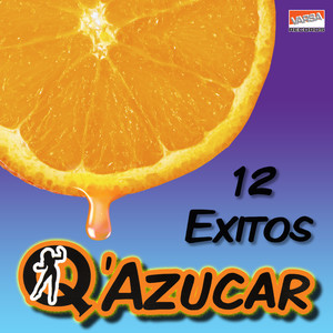 12 Exitos