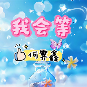 我会等 (DJ版)