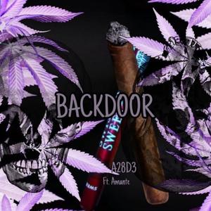 BACKDOOR (feat. Amante) [Explicit]