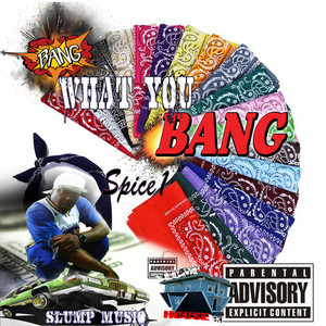 Bang What You Bang (Explicit)