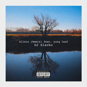 Allein (Remix) [Explicit]