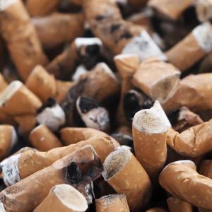 FETOR(feat. KPSN) (Explicit)