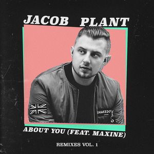 About You (feat. Maxine) (Bram Fidder Remix)