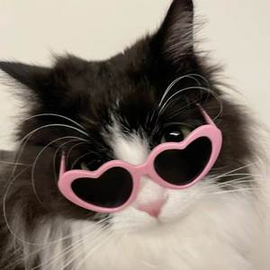 Pick Up The Pace (Explicit)