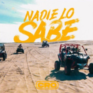 Nadie Lo Sabe