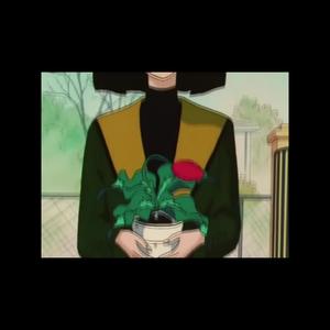 枯萎也许就是沮丧