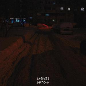 Shadowy