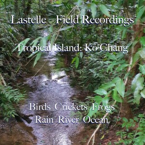 Field Recordings, Tropical Island: Ko Chang (Birds, Crickets, Frogs, Rain, River, Ocean)