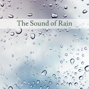 The Sound of Rain