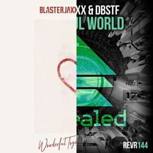 Blasterjaxx-Beautiful Together (Mashup) (SpaceDog remix)