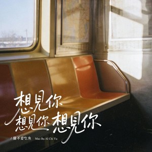 想见你想见你想见你 (R&B + City Pop版)