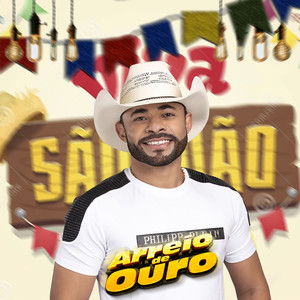Arreio de Ouro - Trip do Boyzinho(Ao Vivo)