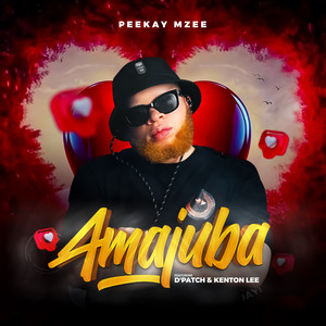 Amajuba (feat. D'patch & Kenton Lee)