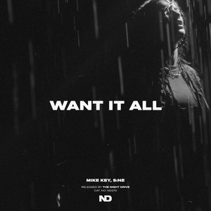 Want It All (Extended Mix)