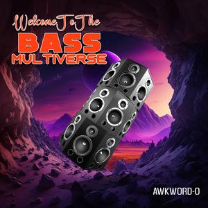 Welcome To The BASS Multiverse