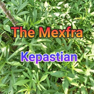 Kepastian