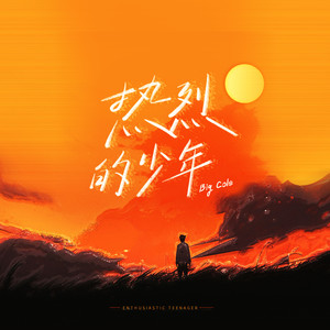 热烈的少年