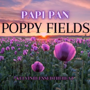 POPPY FIELDS