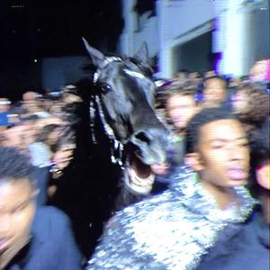 NO MATTER WHAT (feat. DJ Mykael V, Mogli the Iceburg & Torey D'Shaun)