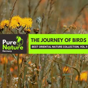 The Journey of Birds - Best Oriental Nature Collection, Vol.9