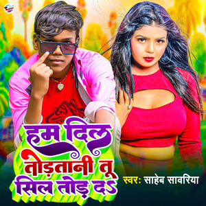 Ham Dil Todtani Tu Sil Tod D