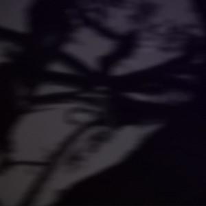 carbon dioxide (feat. Stevyn, Oh well., rans0m & thrml) (Explicit)