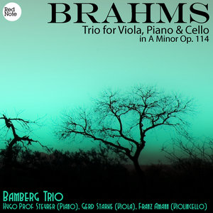 Brahms: Trio for Viola, Piano & Cello in A Minor Op. 114