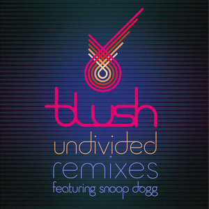 Undivided (Eddie Amador Radio Mix)