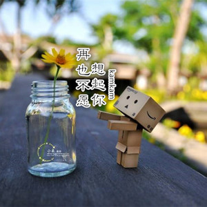 再也不愿想起你