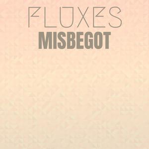 Fluxes Misbegot