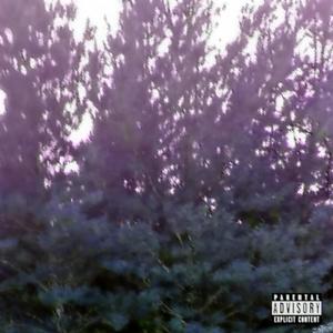 Cuéntamelo todo (feat. 999ines) (Explicit)