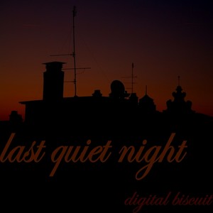 Last Quiet Night