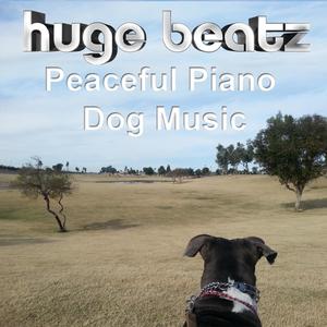 Peaceful Piano Dog Music