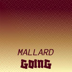 Mallard Going