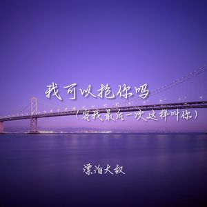 我可以抱你吗（容我最后一次这样叫你）