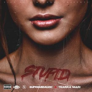 Stupid (feat. Teairra Marí) (Explicit)