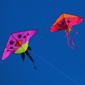 Diamond Kites