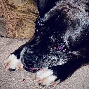 Jesus told me so (Beat made by Lackney) (Explicit)