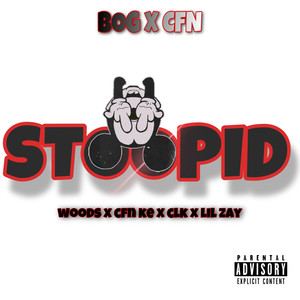 Stoopid (Explicit)