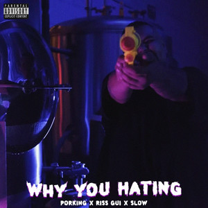 Why You Hating? (Explicit)