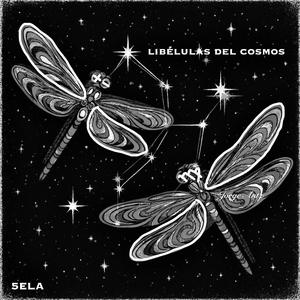 libélulas del cosmos