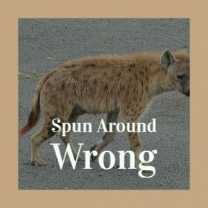 Spun Around Wrong