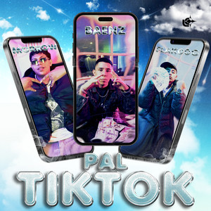 Pal Tiktok (Explicit)