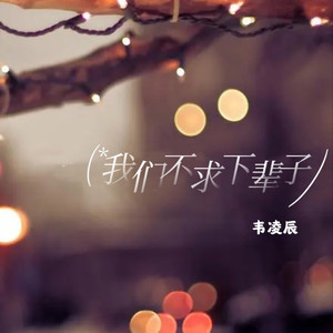 我们不求下辈子 (加快版)